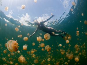 Красиви, но опасни места-това е езерото на медузите