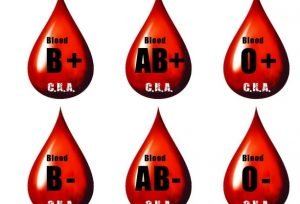 кръвните групи 